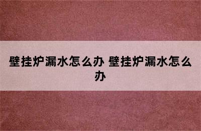 壁挂炉漏水怎么办 壁挂炉漏水怎么办